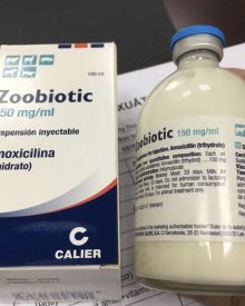 Zoobiotic – kháng sinh Amocxillin 15%